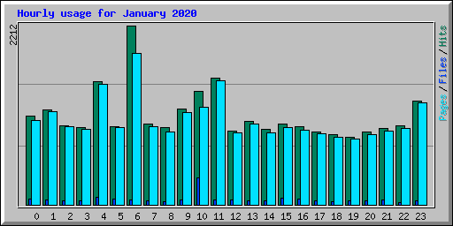 Hourly usage for January 2020