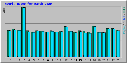 Hourly usage for March 2020