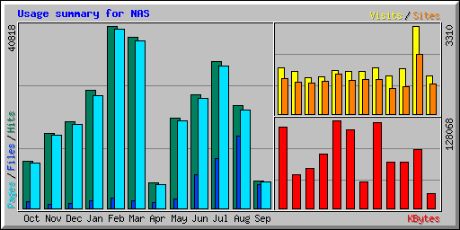Usage summary for NAS